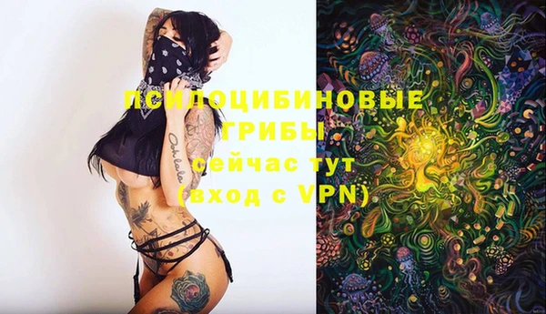прущая мука Краснотурьинск