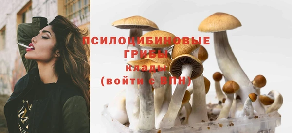 прущая мука Краснотурьинск