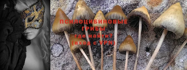 стаф Кулебаки